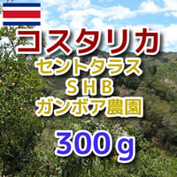 コスタリカ セントタラス SHB ガンボア農園 300g
