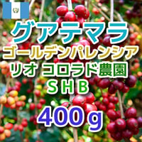 グアテマラ　ゴールデンパレンシア　リオ　コロラド農園SHB 400g