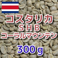 コスタリカ SHB コーラルマウンテン 300ｇ
