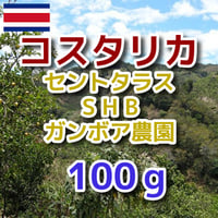 コスタリカ セントタラス SHB ガンボア農園 100g