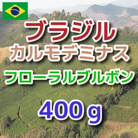 ブラジル  カルモデミナス  フローラルブルボン  400g