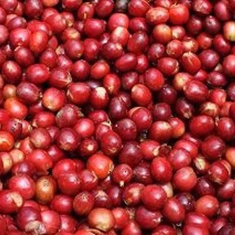 インドネシア　マンデリン　ビンタンリマ　100ｇ