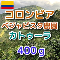 コロンビア　ベジャビスタ農園　カトゥーラ 400g