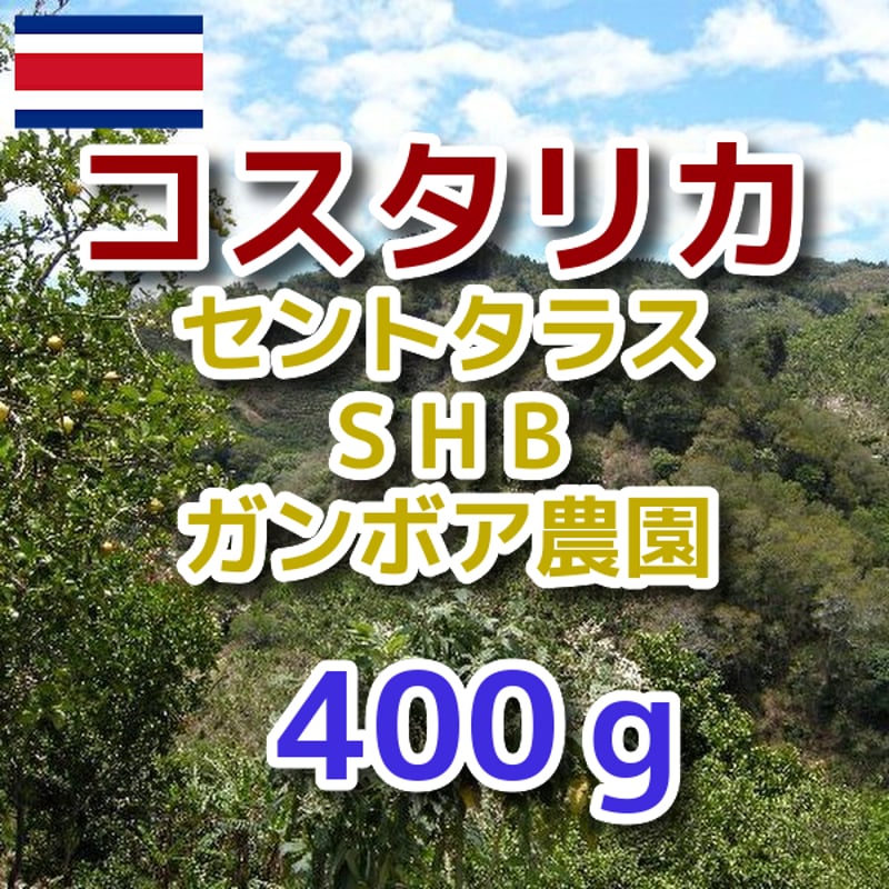 コスタリカ セントタラス SHB ガンボア農園 400g | OneWeekCoffee STORE