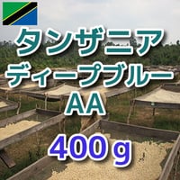 タンザニア キゴマ キボー ディープブルー AA 400g