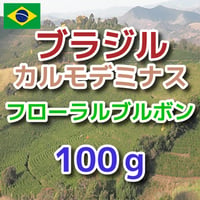 ブラジル  カルモデミナス  フローラルブルボン  100g