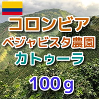 コロンビア　ベジャビスタ農園　カトゥーラ 100g