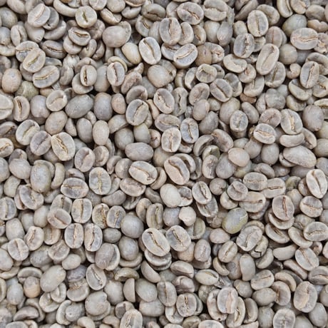 コスタリカ SHB コーラルマウンテン 400ｇ