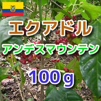 エクアドル アンデスマウンテン 100g