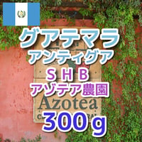 グアテマラ アンティグア SHB アゾテア農園 300ｇ