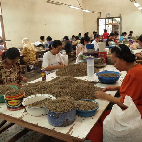 インドネシア　マンデリン　ビンタンリマ　100ｇ