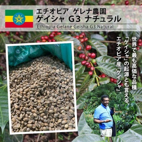 エチオピア ゲレナ農園 ゲイシャ G3 ナチュラル　200ｇ