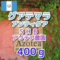 グアテマラ アンティグア SHB アゾテア農園 400ｇ
