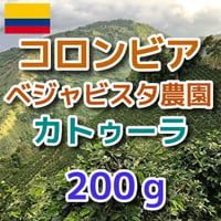 コロンビア　ベジャビスタ農園　カトゥーラ 200g
