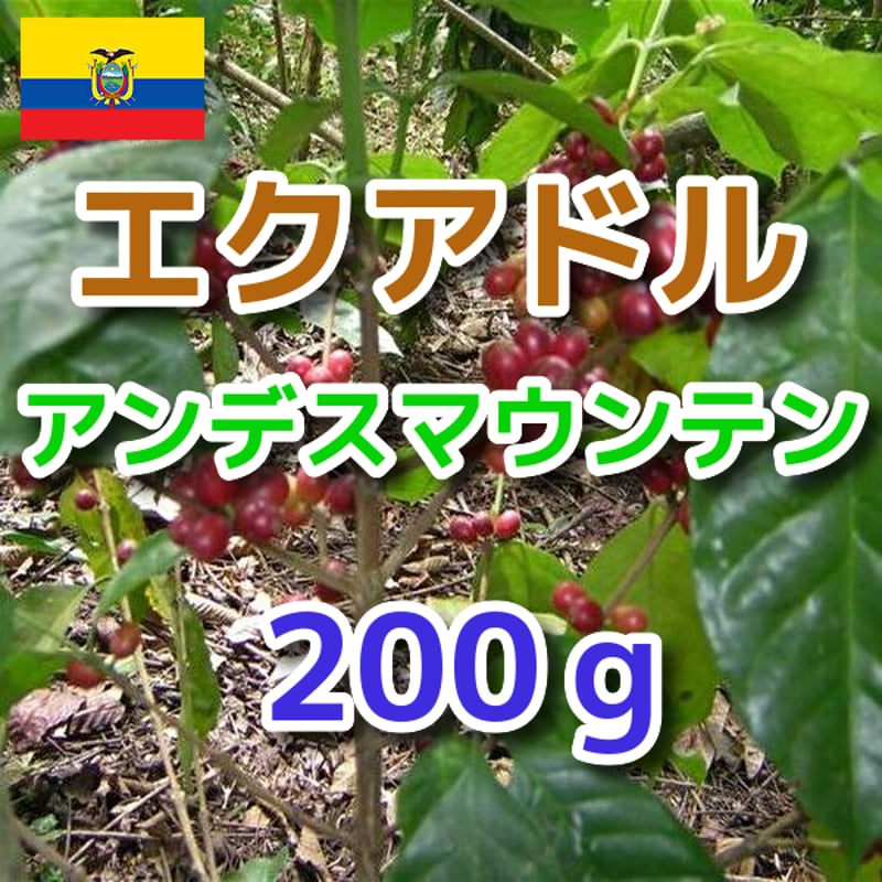 エクアドル アンデスマウンテン 200g | OneWeekCoffee STORE
