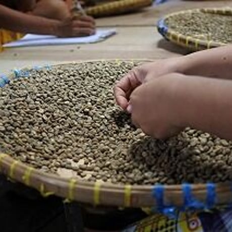 インドネシア　マンデリン　ビンタンリマ　100ｇ