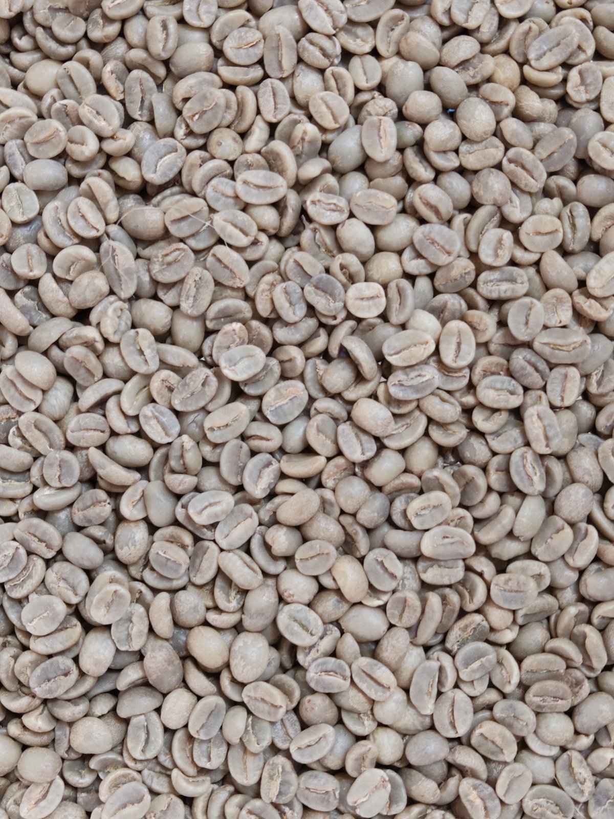 ブルンジ レッドブルボン FW S15 Qグレード認証 200g | OneWeekCoffe