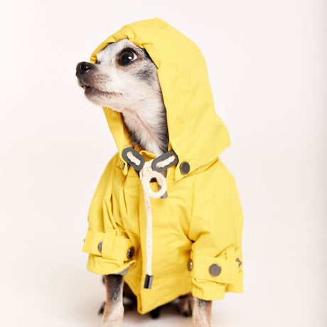 【maxbone】Raincoat /レインコート - Yellow S