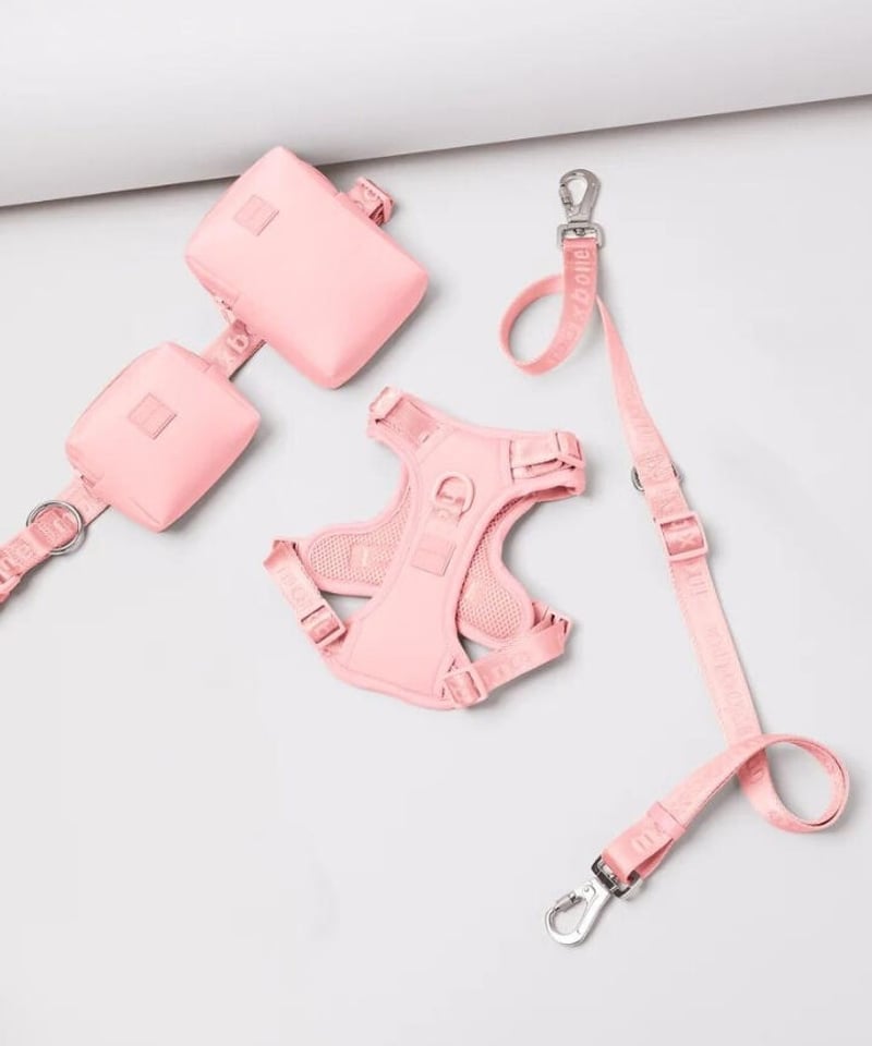 新品】maxbone ハンズフリーリード peach ピンク