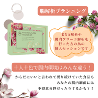 腸解析プランニング