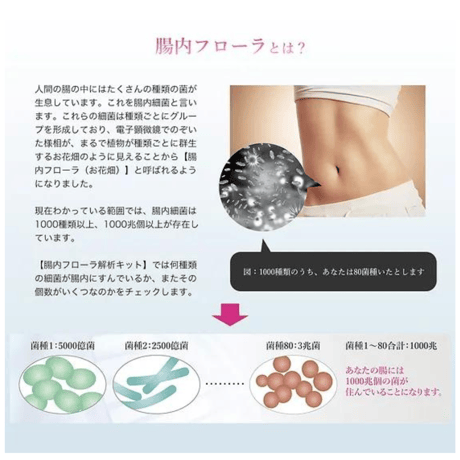 腸内フローラ解析キット &腸解析プランニング