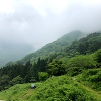 月蓬サロン専用【消費税８％】