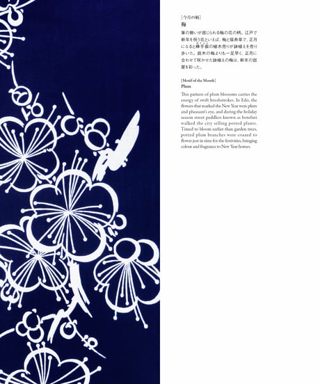 大菊