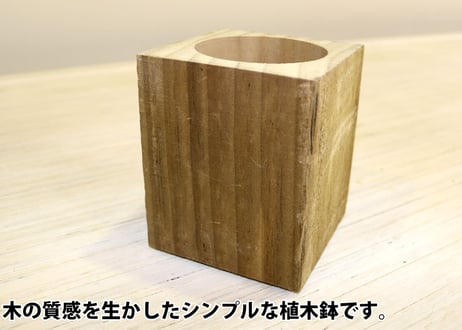 Accoya® Wood Flower Pot 【 S size 】 (W100㎜×D100㎜×H124㎜)