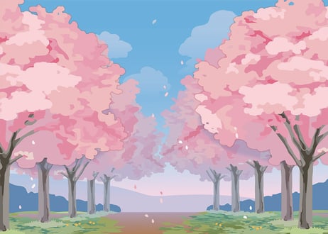 背景スクリーン（桜並木）