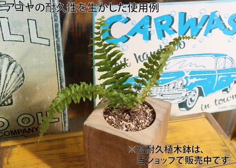 50年耐久　高機能木材　アコヤ　　　　　　　30×65×910ｍｍ  （3本入り/配送140サイズ）