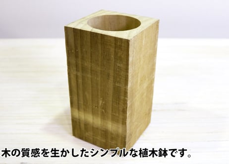 Accoya® Wood Flower Pot  【 L size 】 (W100㎜×D100㎜×H200㎜)
