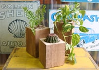 Accoya® Wood Flower Pot  【 L size 】 (W100㎜×D100㎜×H200㎜)