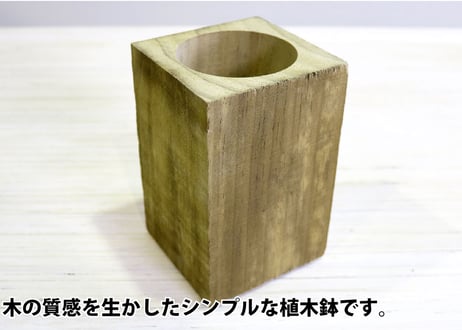 Accoya® Wood Flower Pot 【 M size 】 (W100㎜×D100㎜×H162㎜)