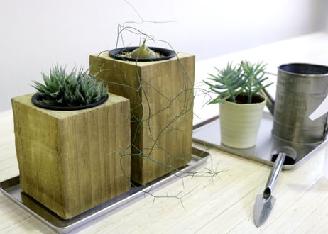Accoya® Wood Flower Pot 【 S size 】 (W100㎜×D100㎜×H124㎜)