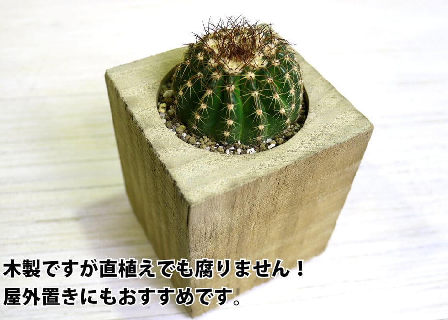 5fc0a86e72eb4663eb750789