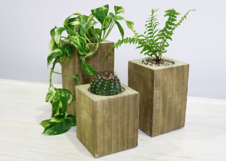 Accoya® Wood Flower Pot 【 M size 】 (W100㎜×D100㎜×H162㎜)