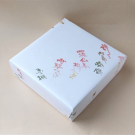 紫雲彩　鉢｜竹村 陽太郎