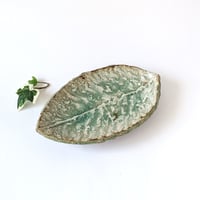 灰釉　木の葉皿｜輪笠　伸好