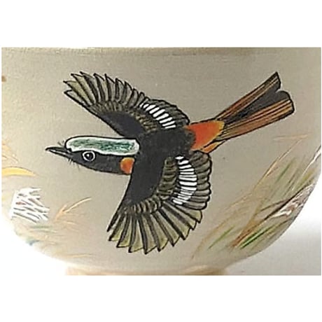 秋草に尉鶲図　茶碗｜山本　雄次