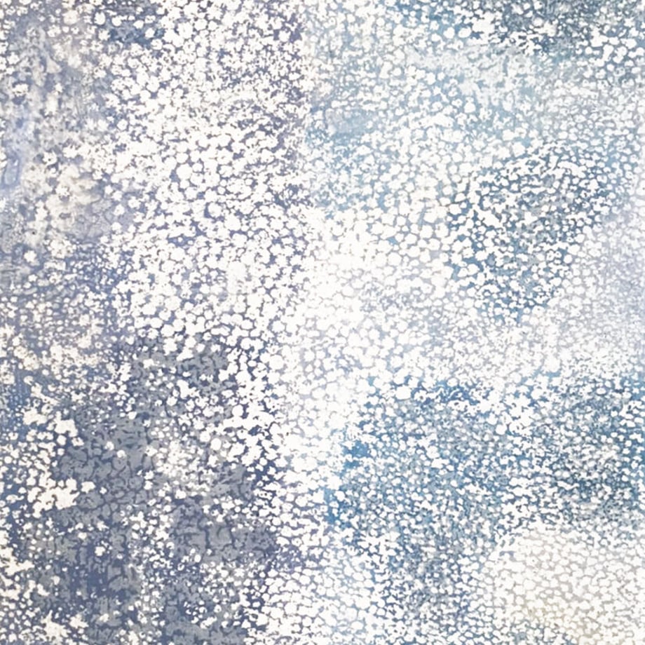 61408c75230557398911b606