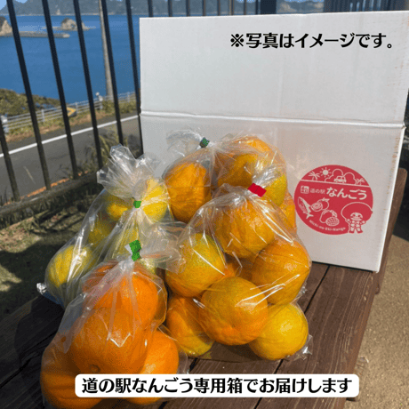 旬の柑橘食べ比べセット【北海道・沖縄除き送料無料】