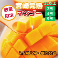 宮崎完熟マンゴー　2L以上