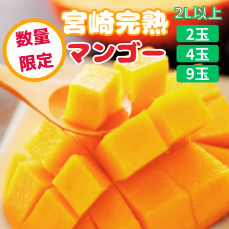 宮崎完熟マンゴー（2L以上）
