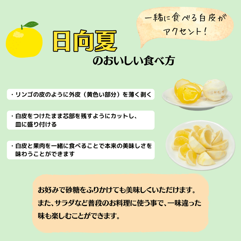 日向夏5kg（18~40玉前後・家庭用）【北海道・沖縄除き送料無料