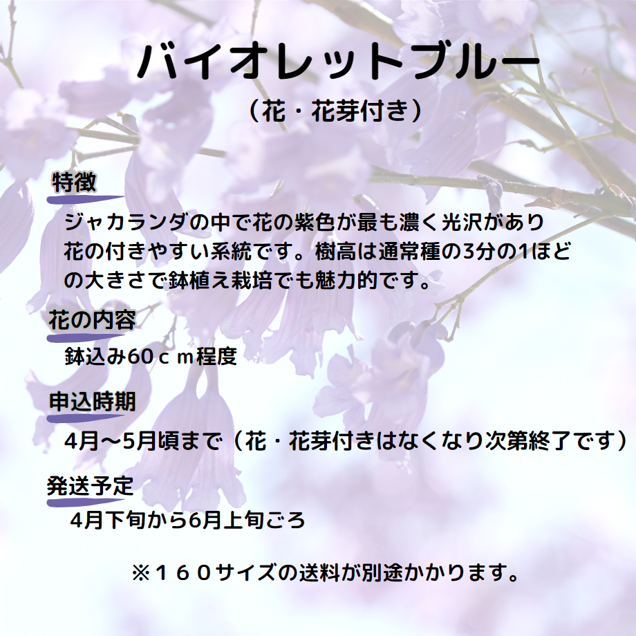 60558af0a11abc0895496cbe