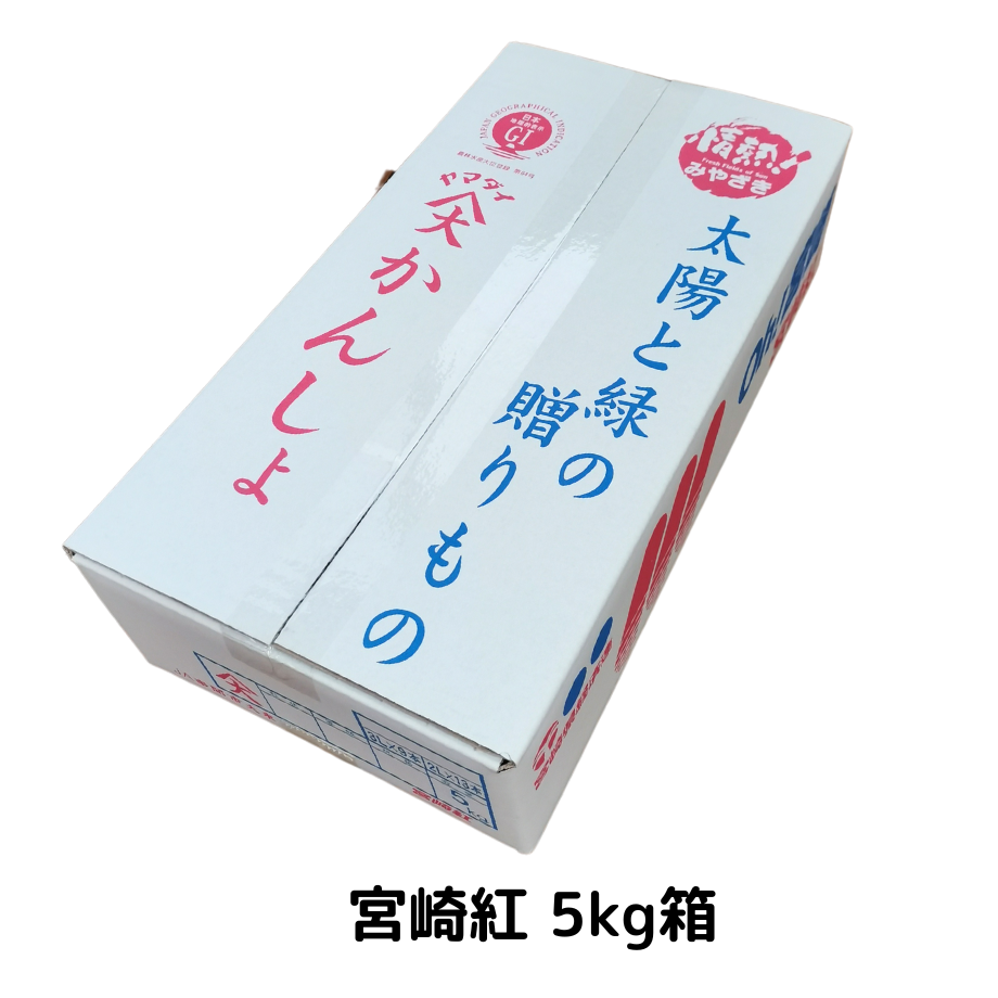 64f04c120e0729002b0c3e9c