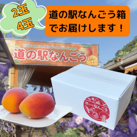 宮崎完熟マンゴー（2L以上）