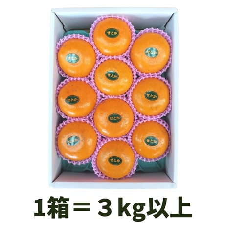 【柑橘】せとか・3kg（化粧箱入）【北海道・沖縄除き送料無料】