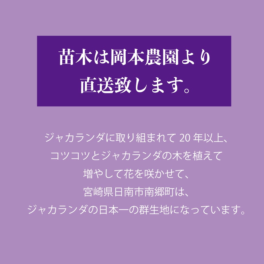 60558af0a11abc0895496cbe