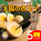 太陽の煮玉子 5P【新発売記念！送料 500円】